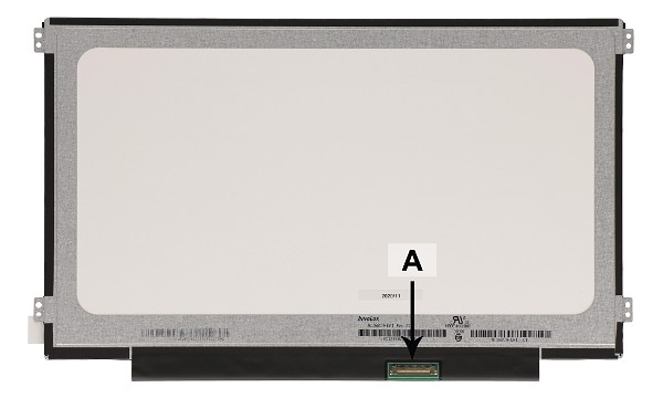 Chromebook 3120 11.6" 1366x768 HD IPS LED Matte