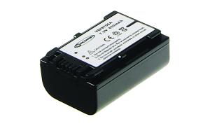 DCR-SR88 Battery (2 Cells)